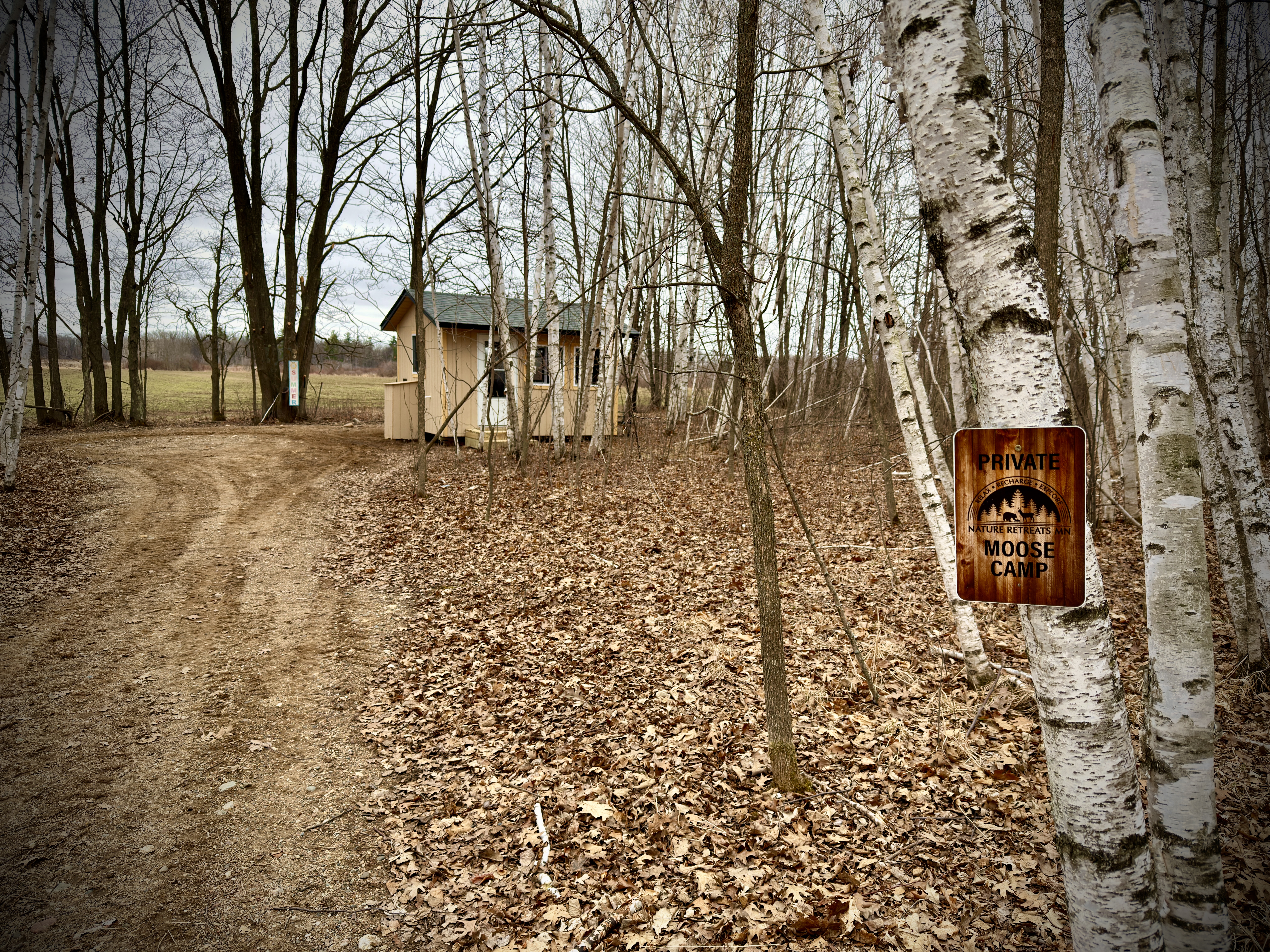 Moose Cabin
